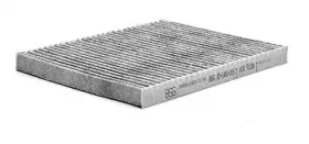 BSG30145015 BSG Фильтр, воздух во внутренном пространстве